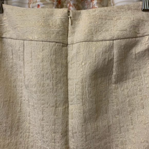 Skirt - Picture 6 of 9